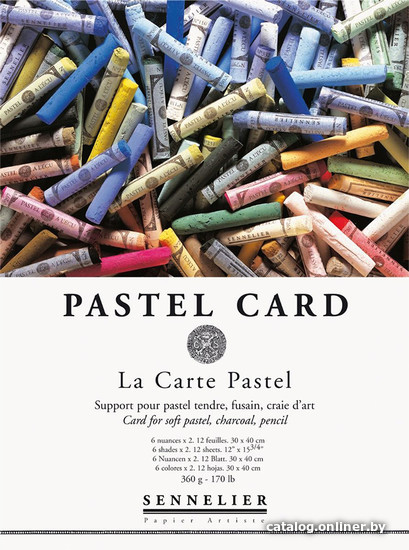 

Набор бумаги для рисования Sennelier Pastel Card N136752 (12л)