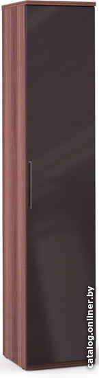 

Шкаф распашной Шатура Rimini Choco F9A-01.CH/CI 480928