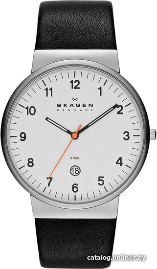 

Наручные часы Skagen SKW6024