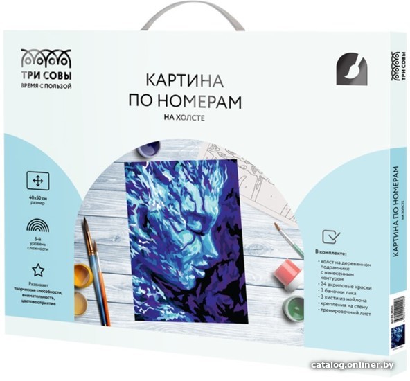 

Картина по номерам Три совы Стихия. Вода КХ_44202