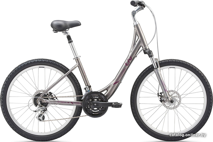 

Велосипед Giant Liv Sedona DX W S 2020 (серый)