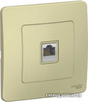 

Розетка компьютерная Schneider Electric Blanca BLNIS045007