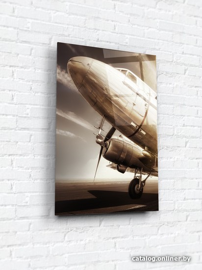 

Картина на стекле ArtaBosko WBR-11-690-04 40x60