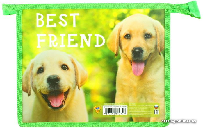 

Папка для тетрадей Пчелка Best friends ПМ-А5-29