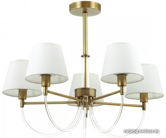 

Люстра средней высоты Lumion Dakota 3702/5C