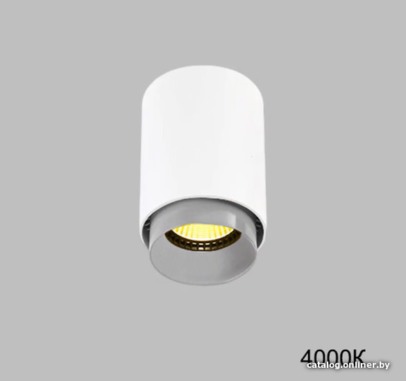 

Точечный светильник ImperiumLoft Reston01 228564-23
