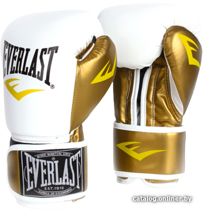 

Перчатки для единоборств Everlast D106 (12 oz, белый)