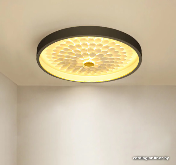 

Припотолочная люстра ImperiumLoft Petals-C01 195465-26