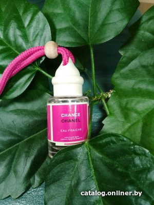 

Zolstar Chanel Chance eau Fraiche