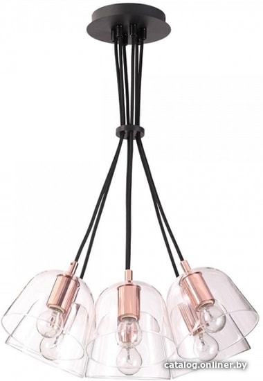 

Подвесная люстра Lumion Joseph 4455/6