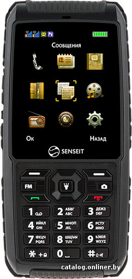 

Кнопочный телефон Senseit P101