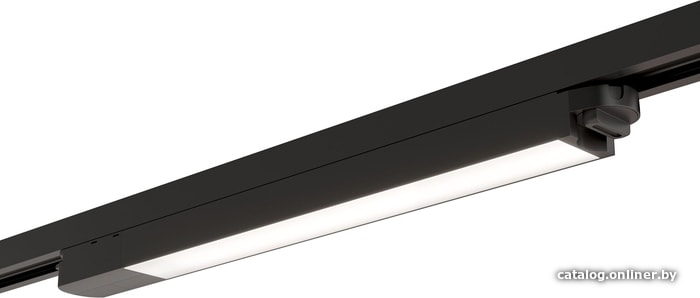 

Линейный светильник Maytoni TR000-1-10W3K-B