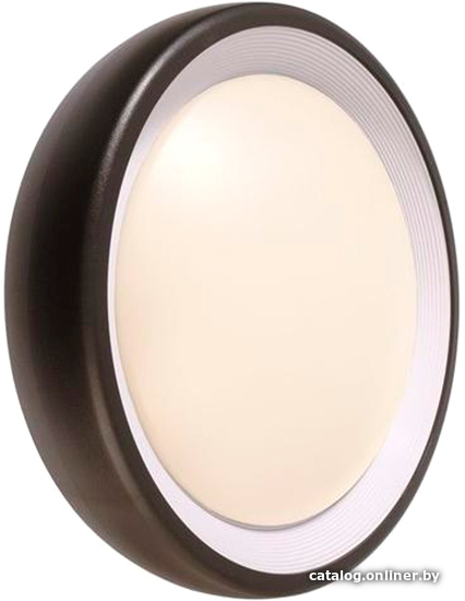 

Уличный настенный светильник Deko-Light Canis I 731043