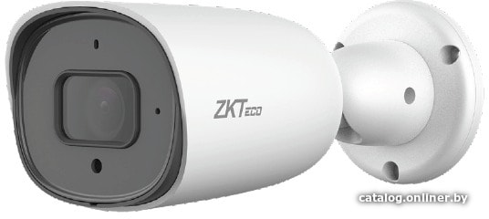 

IP-камера ZKTeco BL-852T50S