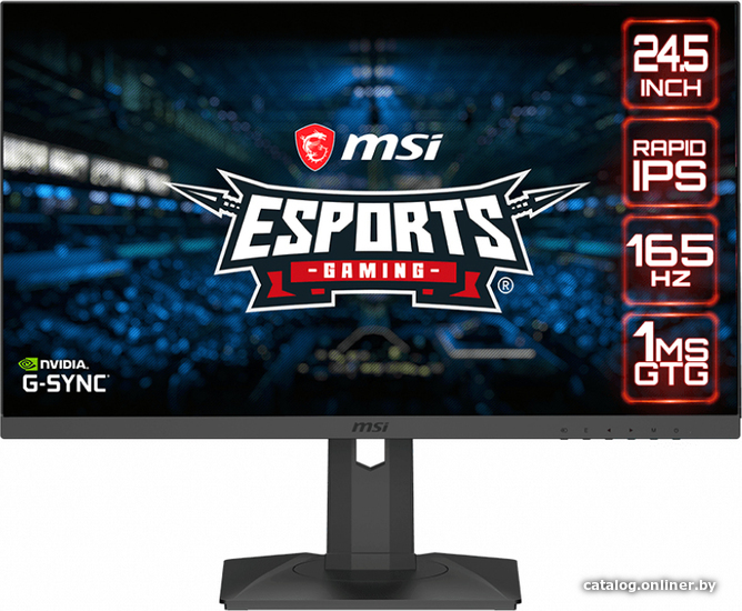 

Игровой монитор MSI Optix G251PF
