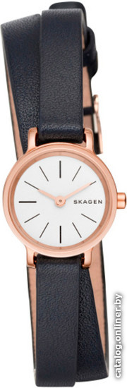 

Наручные часы Skagen SKW2598