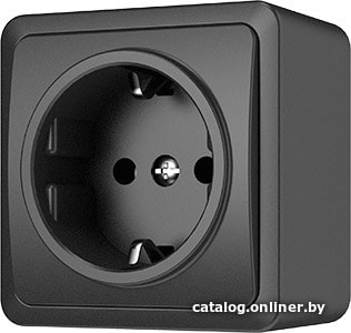 

Розетка Vilma Style plus SL+250 RP16-002 an