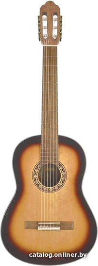 

Акустическая гитара Valencia VC304 ASB
