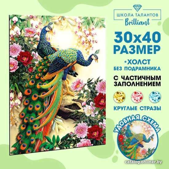 

Набор для создания поделок/игрушек Школа талантов Павлины 1516816