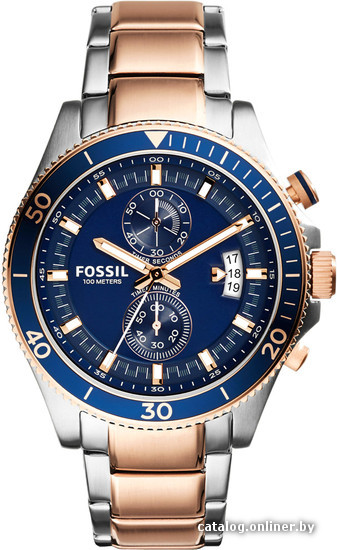 

Наручные часы Fossil CH2954