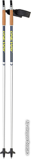 

Лыжи One Way 05 JR OZ46119 (105 см)