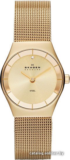 

Наручные часы Skagen SKW2045