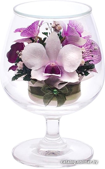 

Цветы, букеты Natural Flower Products Композиция из белых и светло-фиолетовых орхидей NZV