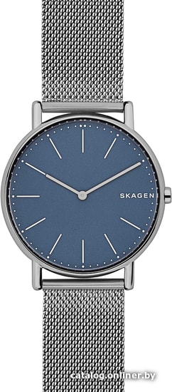 

Наручные часы Skagen SKW6420