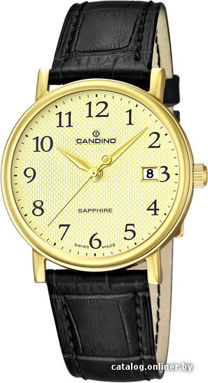 

Наручные часы Candino C4489/1