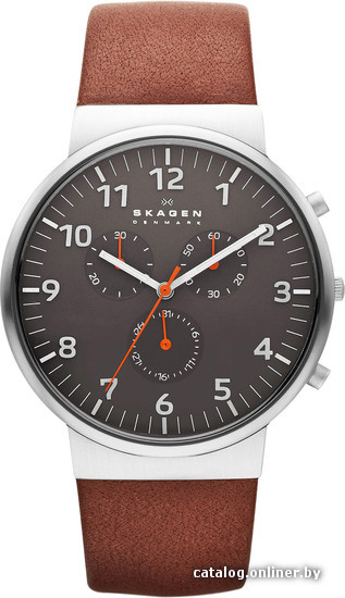 

Наручные часы Skagen SKW6099