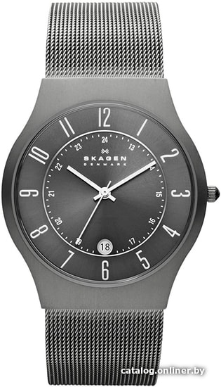

Наручные часы Skagen 233XLTTM