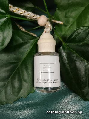 

Zolstar Byredo Gypsy Water
