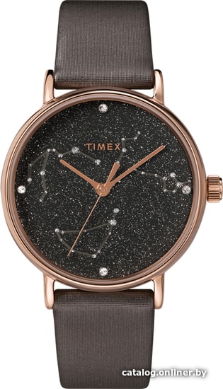 

Наручные часы Timex TW2T87700