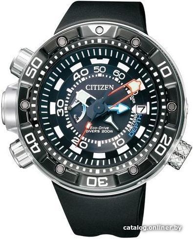 

Наручные часы Citizen BN2024-05E