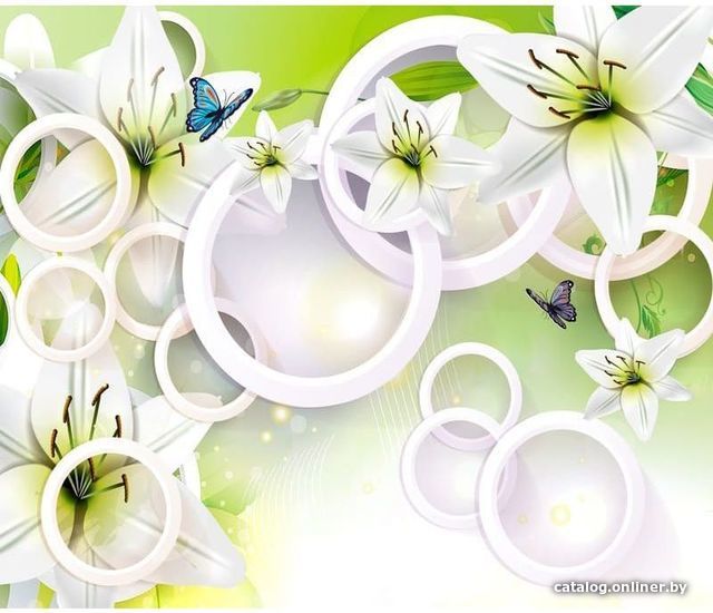 

Виниловые обои Citydecor Круги 3D 300x270