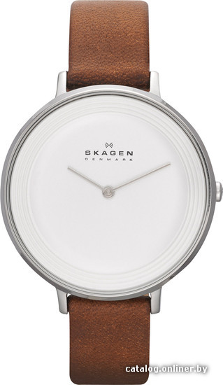

Наручные часы Skagen SKW2214