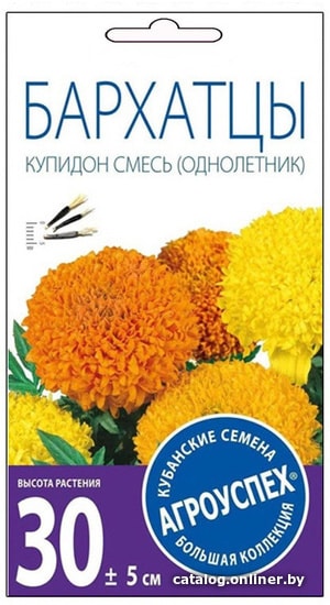 

Семена цветов Агроуспех Купидон хризантемовидные 29727 0.3 г