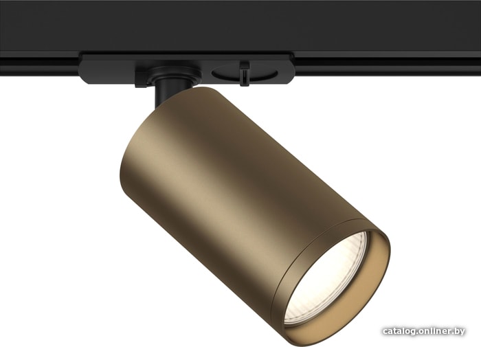 

Трековый светильник Maytoni TR020-1-GU10-BBZ