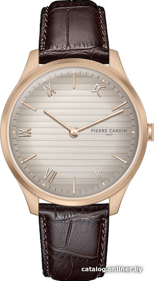 

Наручные часы Pierre Cardin CBA.4021