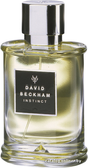 

Туалетная вода David Beckham Instinct EdT (75 мл)