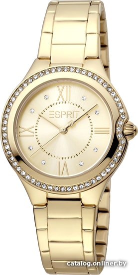 

Наручные часы Esprit ES1L263M0065