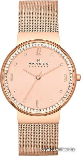 

Наручные часы Skagen SKW2130