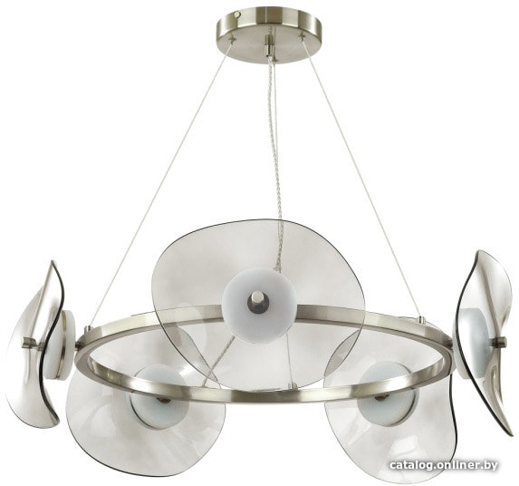 

Подвесная люстра Odeon Light L-vision 4858/48L
