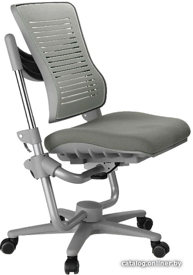 

Детское ортопедическое кресло Comf-Pro Angel Chair (серый)
