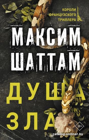 

АСТ. Душа зла (Шаттам Максим)