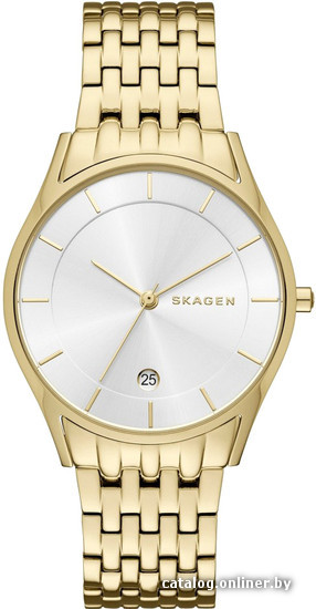 

Наручные часы Skagen SKW2389