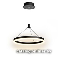 

Подвесная люстра LED Technology Ring 24 B