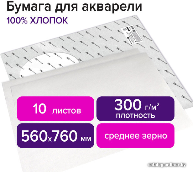 

Набор бумаги для рисования BRAUBERG Art Premiere 113236 (10 л)