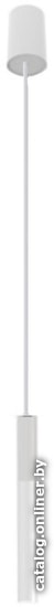 

Подвесная люстра Nowodvorski Cameleon Straw M TR/WH