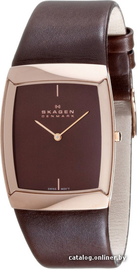 

Наручные часы Skagen 584LRLM